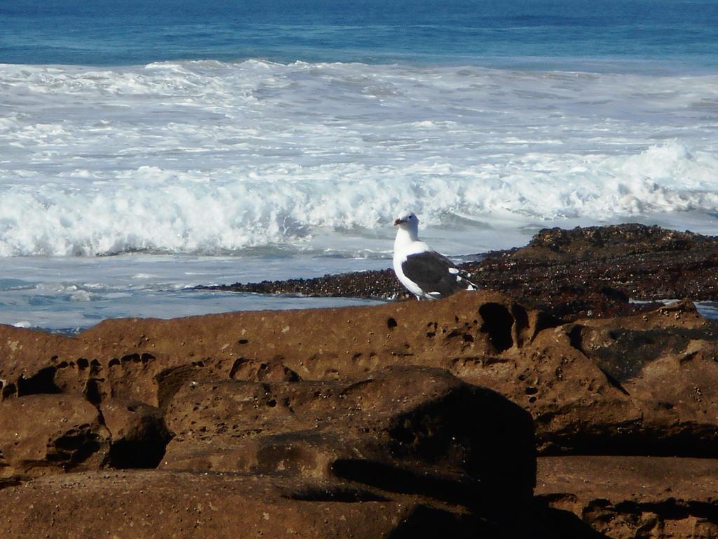 The Coelacanth Guest House And Beach Thyme Self Catering Kiddʼs Beach Buitenkant foto
