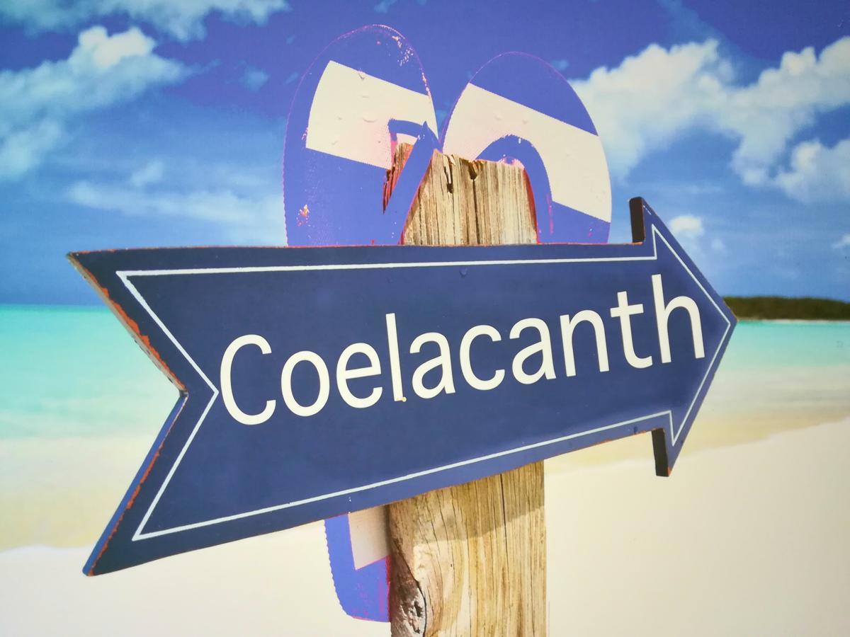 The Coelacanth Guest House And Beach Thyme Self Catering Kiddʼs Beach Buitenkant foto