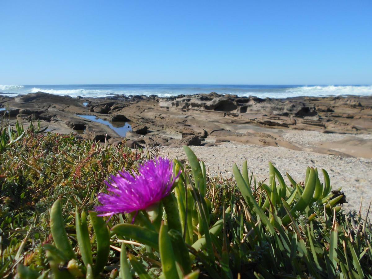 The Coelacanth Guest House And Beach Thyme Self Catering Kiddʼs Beach Buitenkant foto